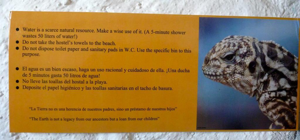 La K-Leta Boutique Guesthouse Puerto Ayora  Eksteriør billede